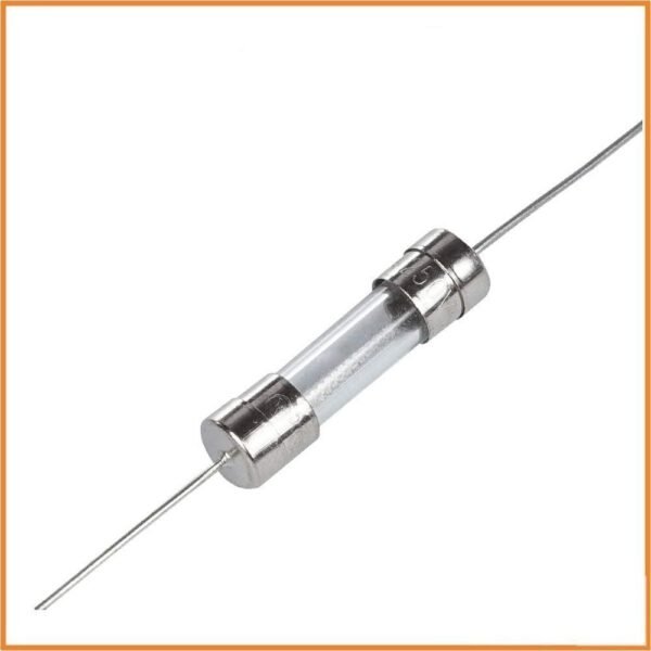 10A Fuse Glass Fuse With Legs Quick Blow